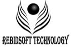 RabidSoft Technologies