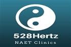 528 Hertz Clinic