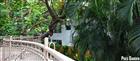 Hanu Reddy Residences- Poes Garden