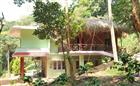 Forest Valley Homestay