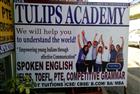 Tulips Academy of English Language