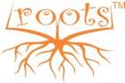 Roots Abacus Learning School