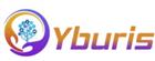 Yburis Infotech Pvt. Ltd.