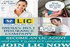 LIC Of India- Sector 1