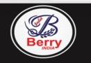 Berry India Entertainment