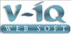 Virtuoso IQ Websoft Pvt Ltd