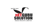 Netguru Solution India Pvt. Ltd.