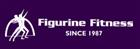 Figurine Fitness Centre- Sadashivnagar