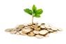 Naksh Investment & Finance